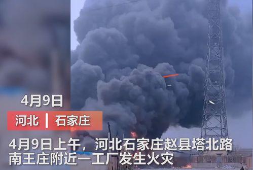 杭州工厂爆料视频曝光事件,揭秘背后真相